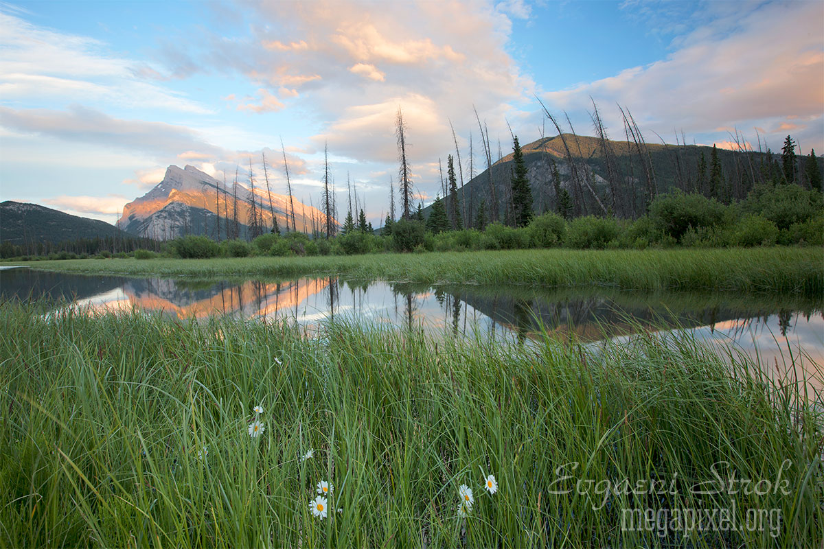 Vermilion Lakes and Mt. Rundle, Banff, Alberta
