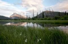 Vermilion Lakes and Mt. Rundle, Banff, Alberta